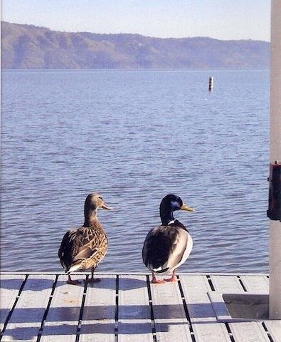 The Mallard House Inn Lakeport Servizi foto